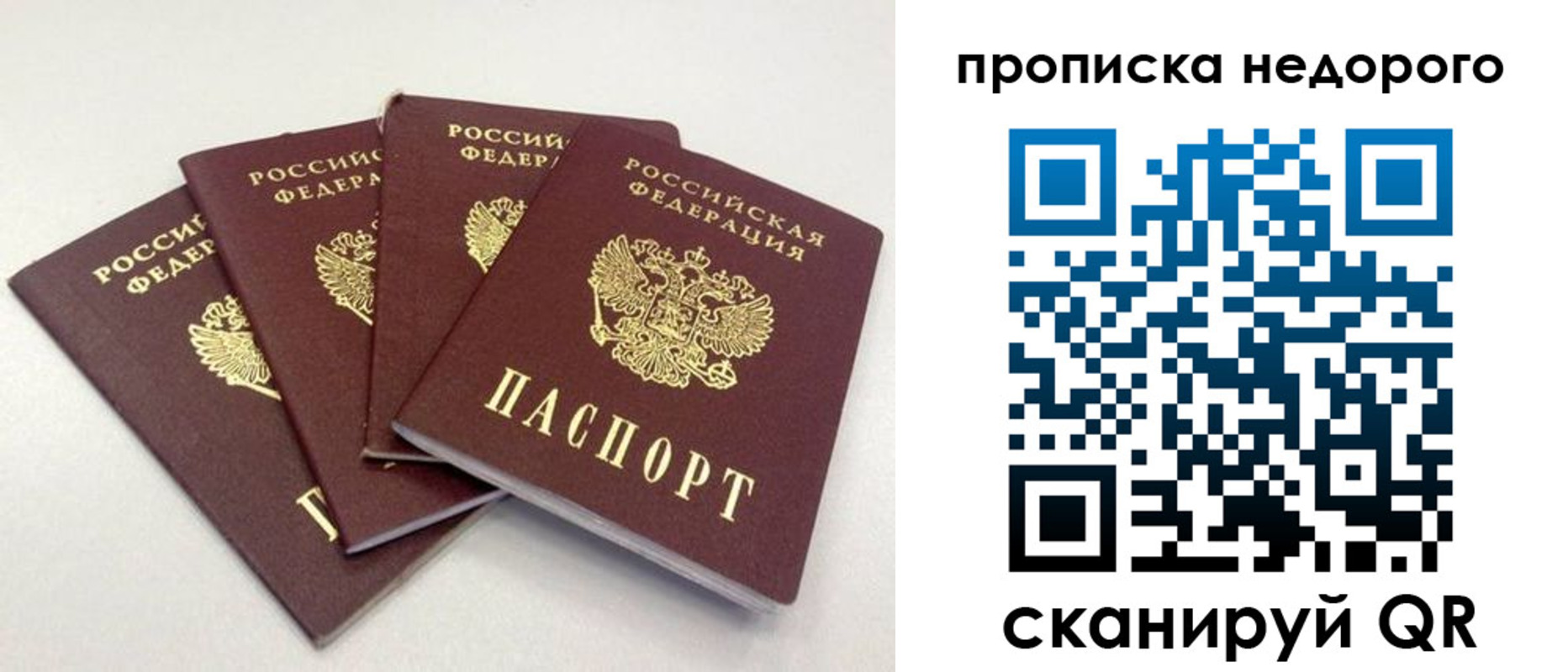 прописка законно в Рошале